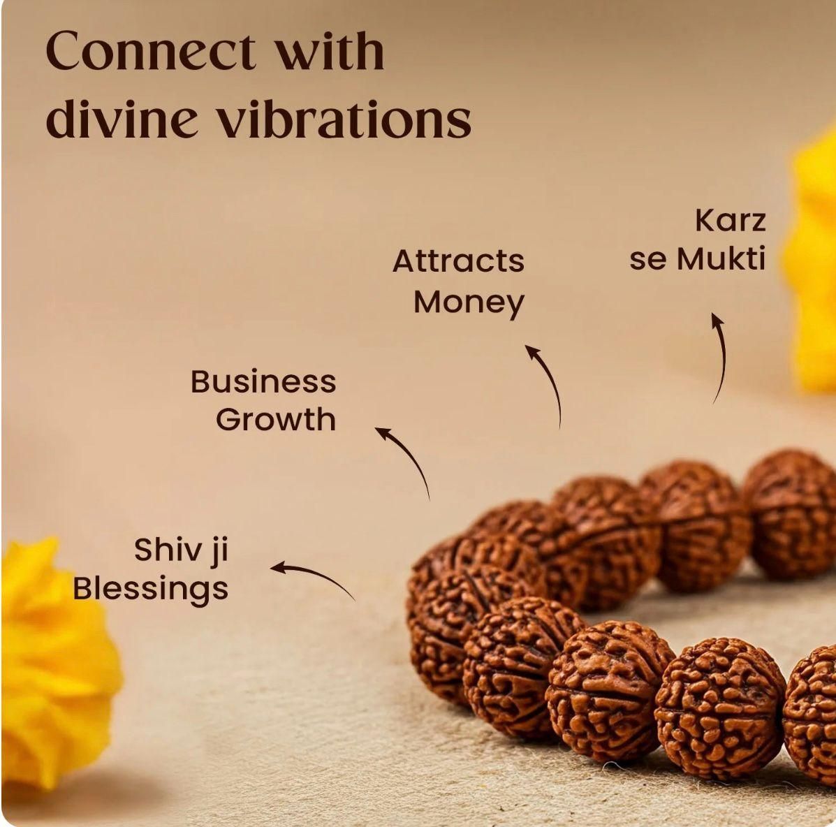 Certified 7 Mukhi Rudraksha Bracelet